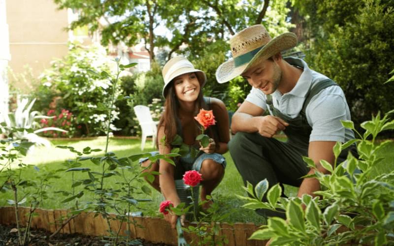 Image of people gardening plants together.