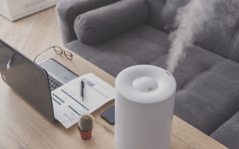 Image of a desk humidifier