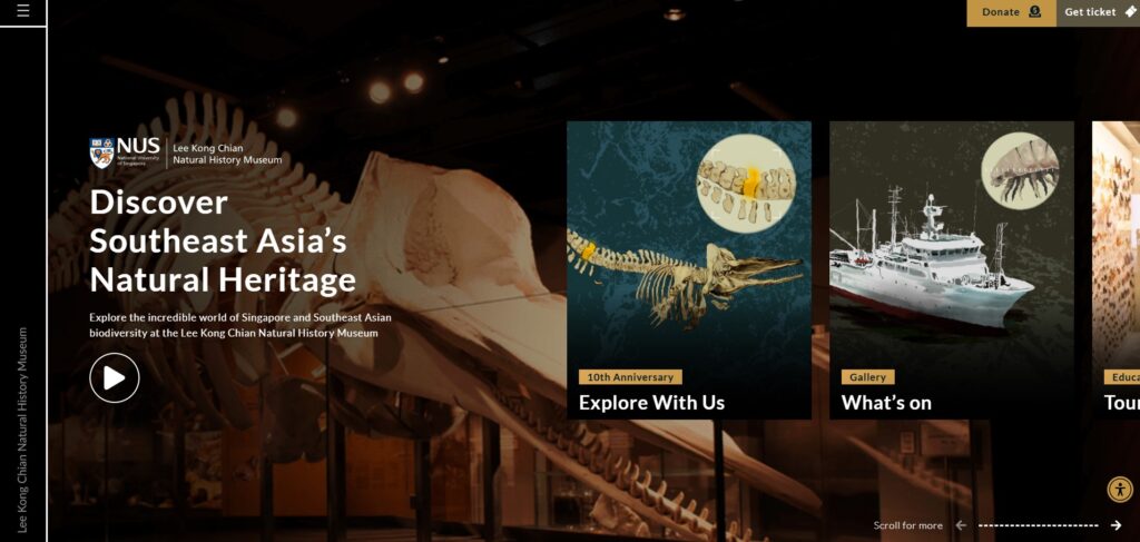 Screenshot of the Lee Kong Chian Natural History Museum’s website page