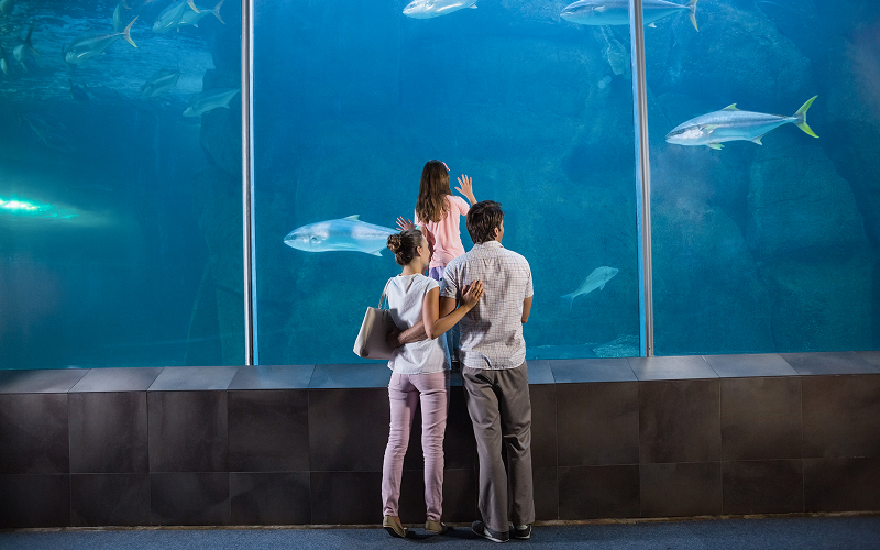the ArtScience museum