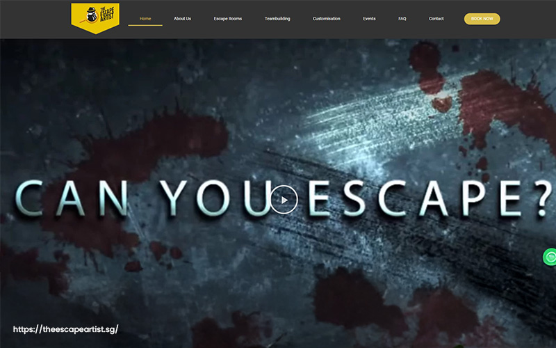 A screenshot of the website of The Escape Artist