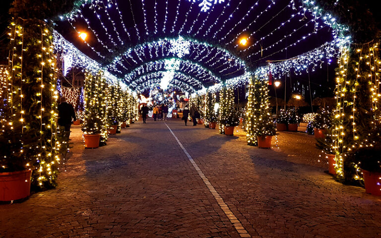 Why Christmas Lights in Singapore Are a Favourite Tradition A brightly lit street at night with festive arches, trees, and glowing displays.