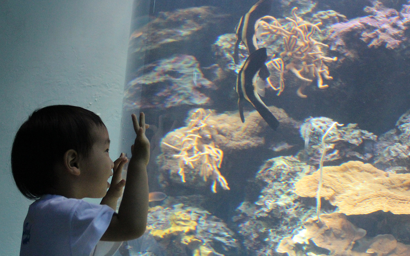Interactive zone with kids exploring digital art projections or constructing mini sculptures
