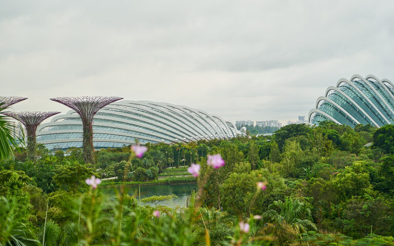 5 Simple Outdoor Plans at East Coast Park for a Relaxing Weekend Image of East Coast Park, Singapore